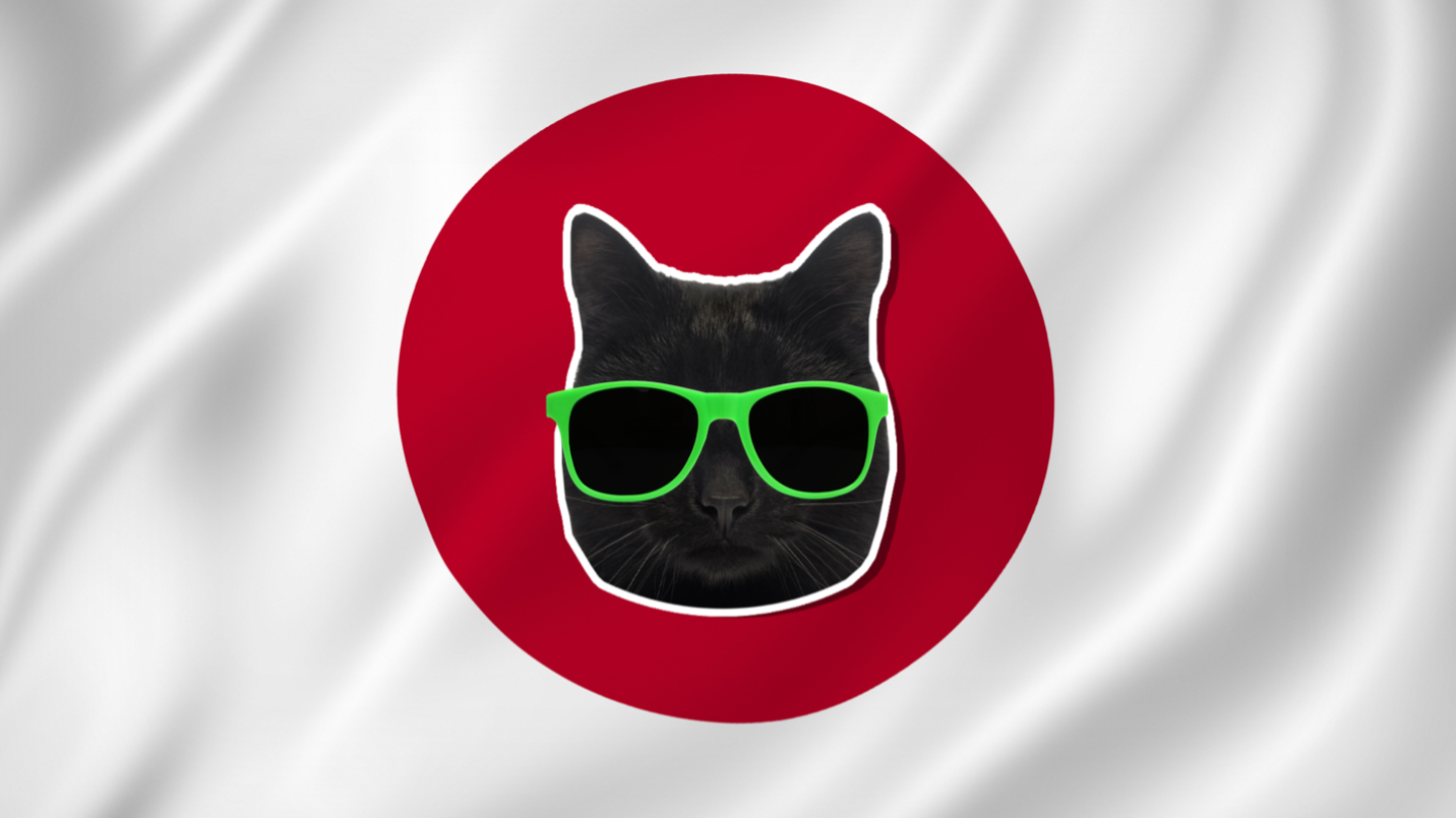 A black cat a Japanese flag