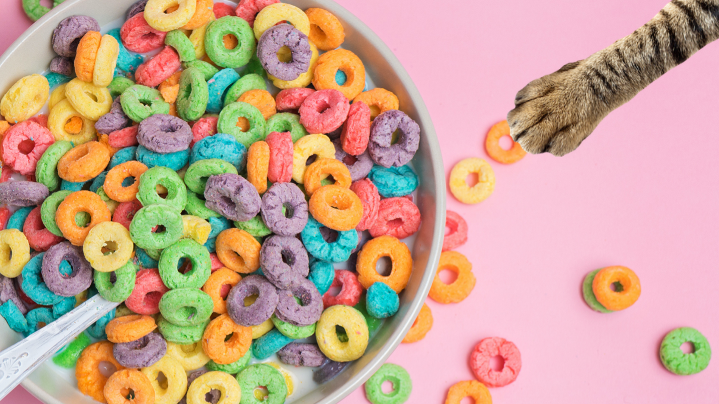 A bowl of colourful cereal