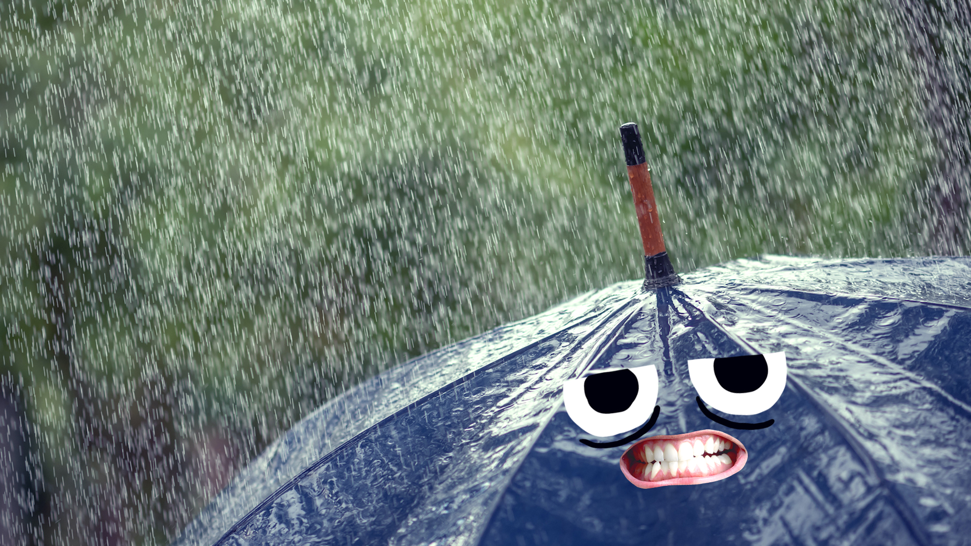 A moody umbrella