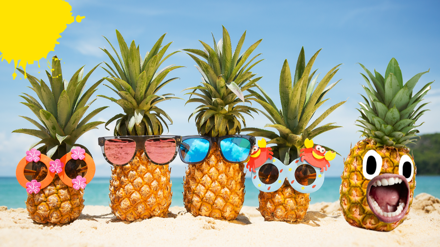 Row of pineapples on a beach