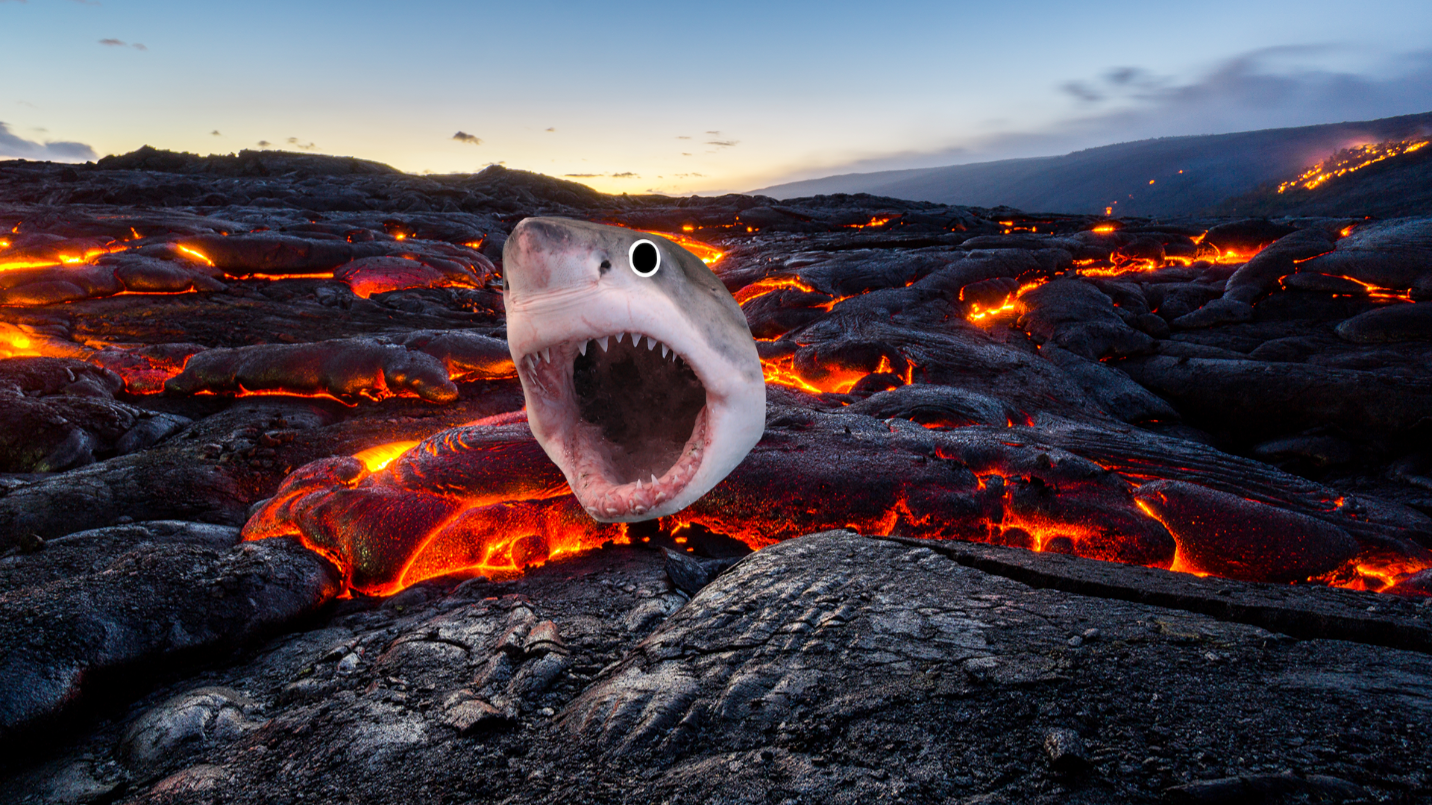Shark in lava