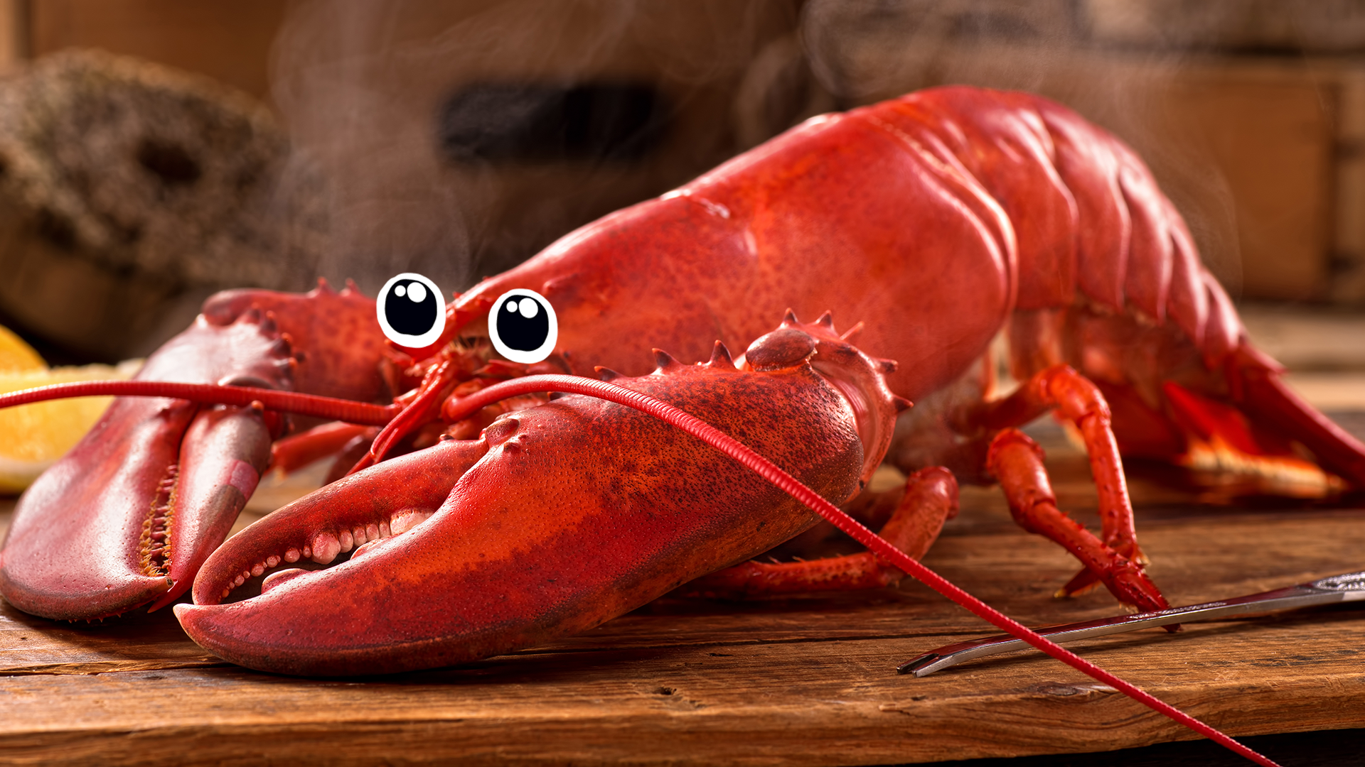A big ol' red lobster