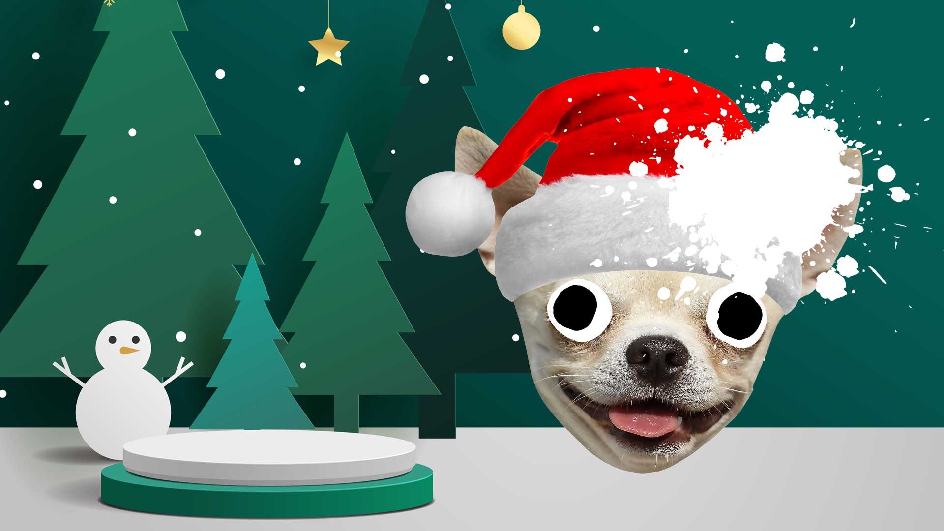 christmas-dog-1