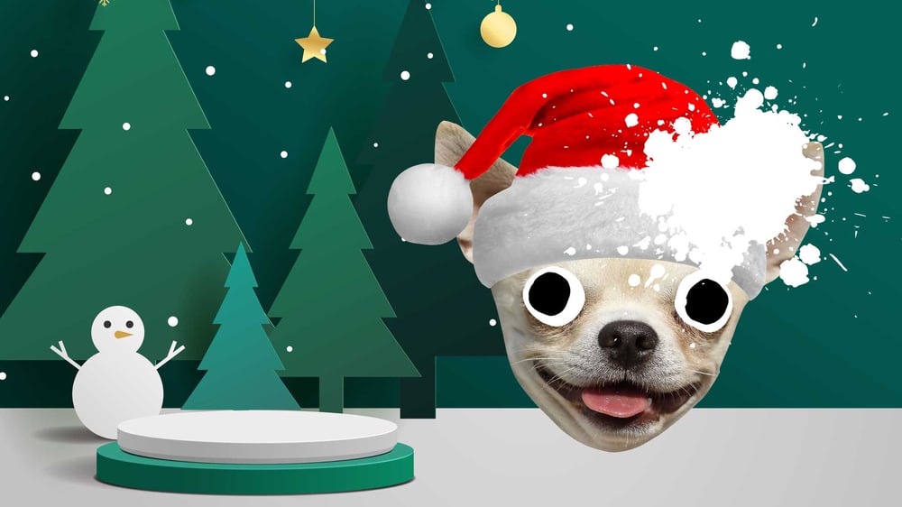 christmas-dog-1