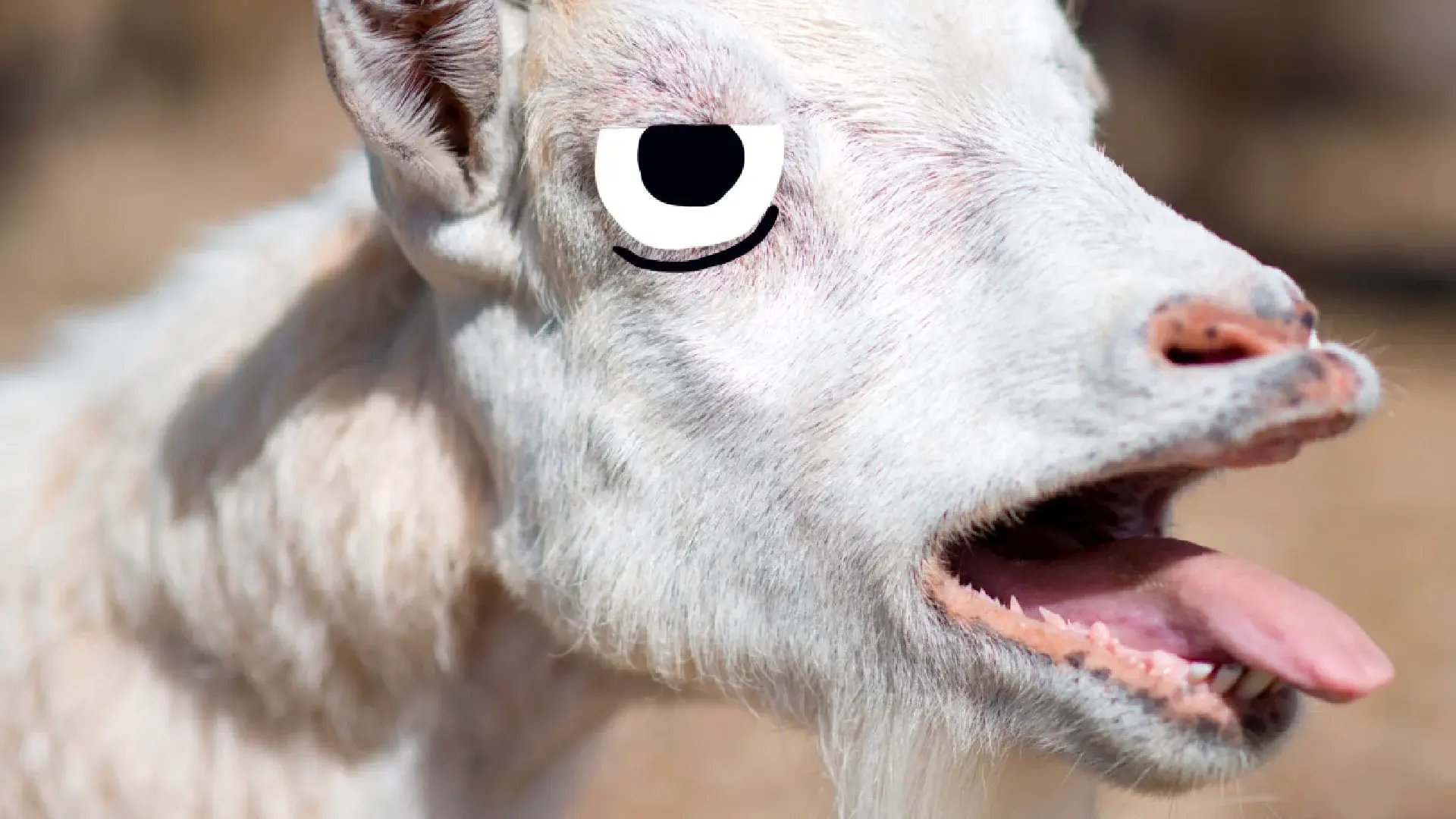 goat-burp