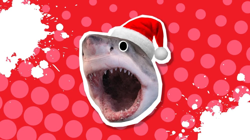 shark-christmas