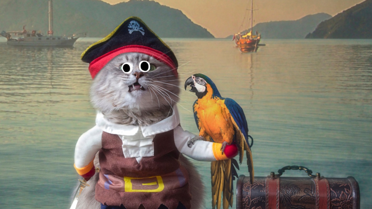 A pirate cat and a parrot 