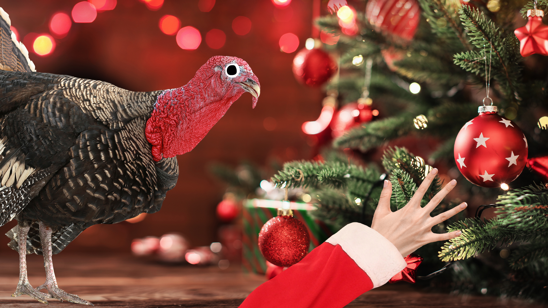 Beano turkey and santa hand with Christmas tree