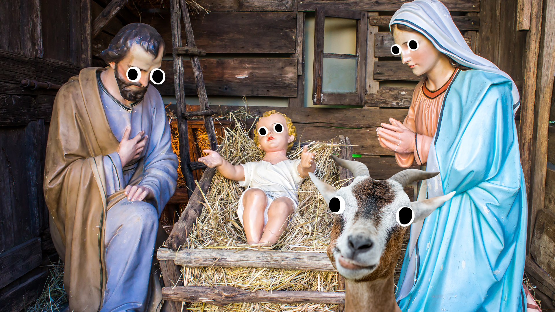 Nativity scene with derpy goat