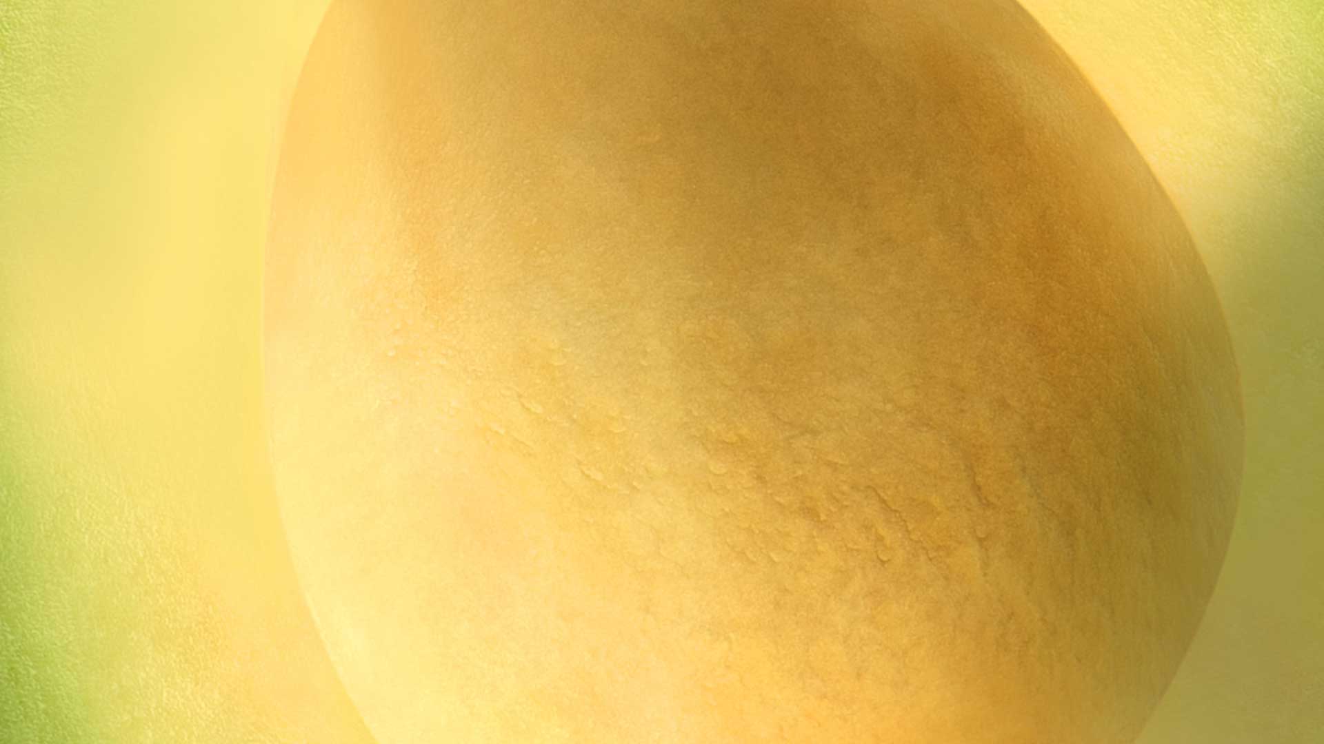 A close up of a fruit