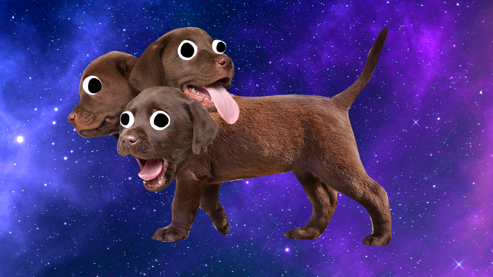 Three headed dog on space background
