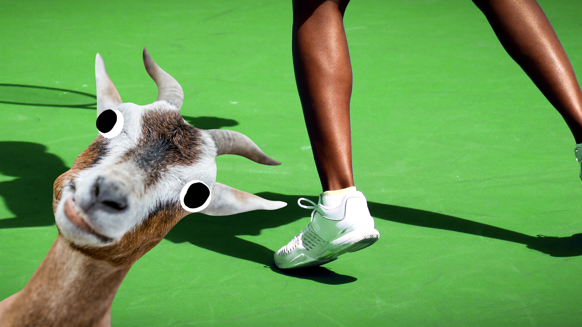 Woman's feet playing tennis with derpy goat