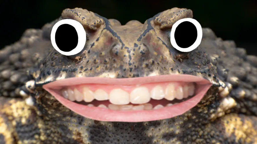 A pet toad