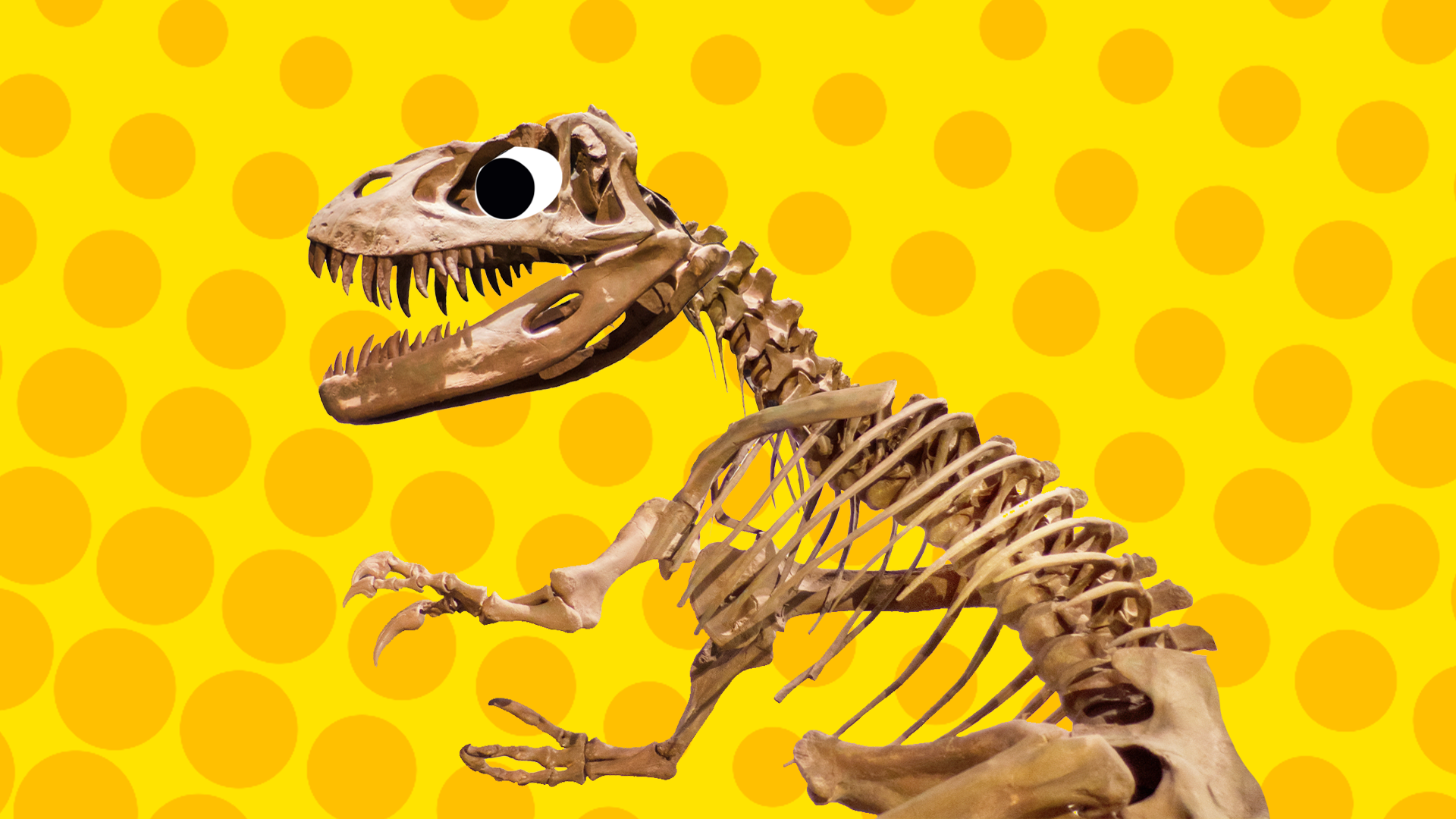 T-Rex skeleton on yellow background 