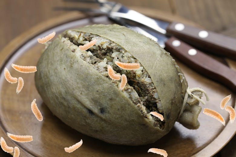 Maggoty haggis with knife and fork