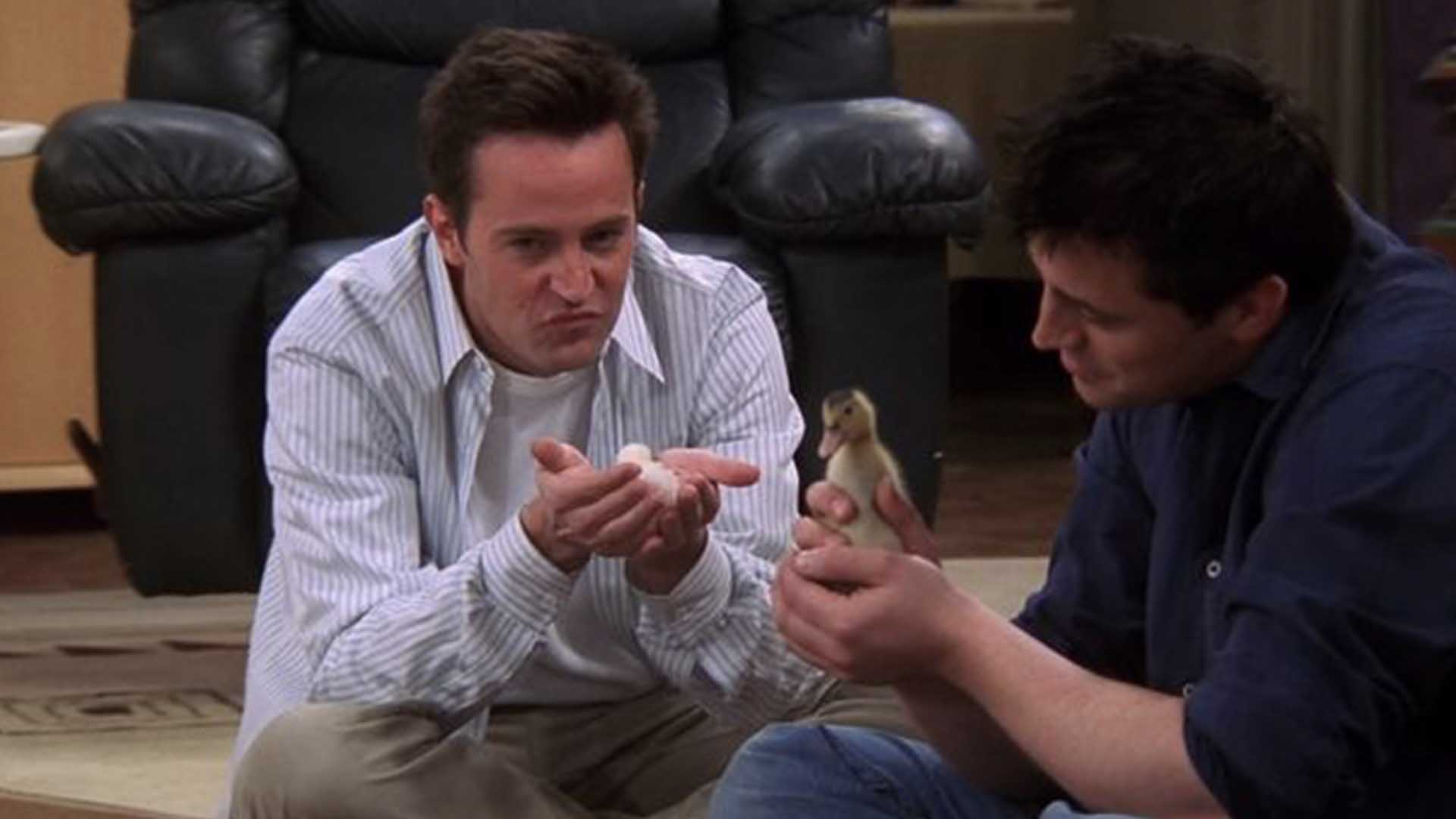 Chandler and Joey’s pets