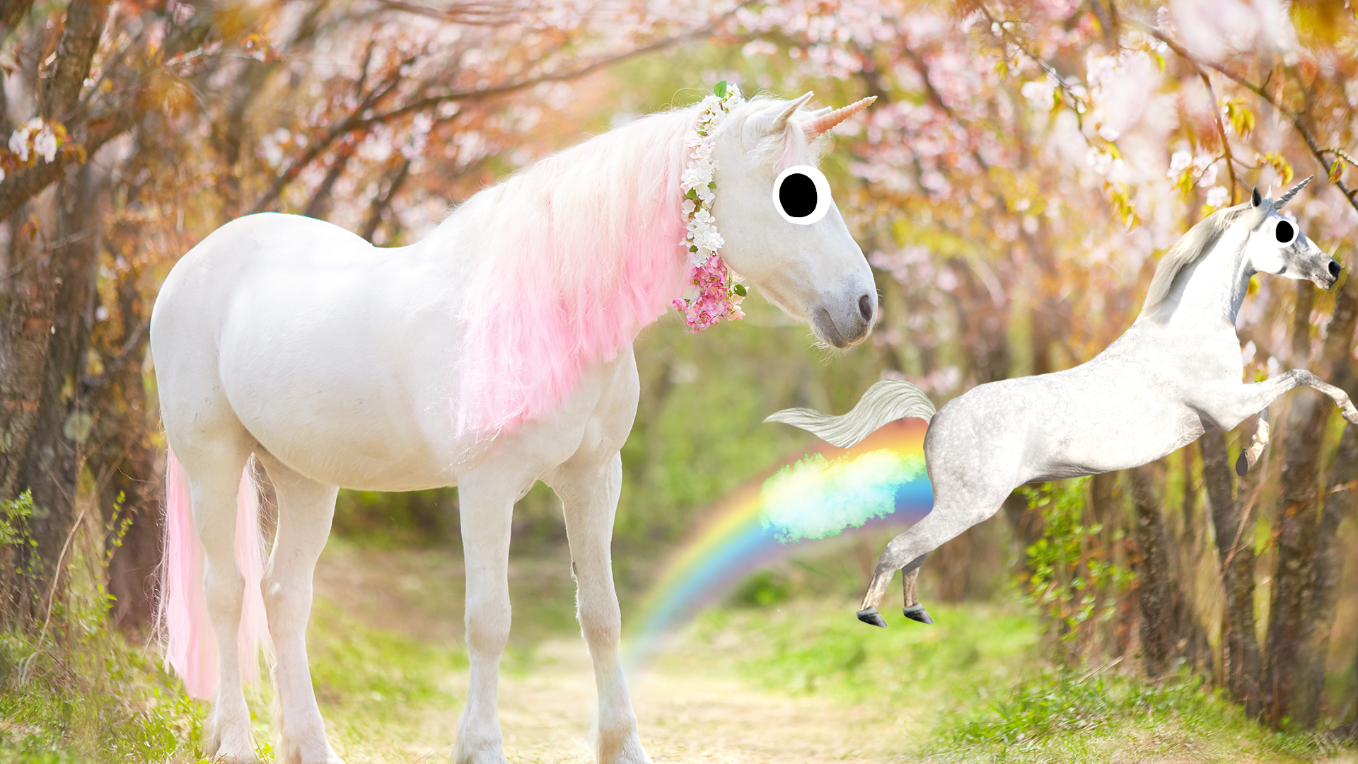 Unicorn in forest with flying unicorn farting rainbows 