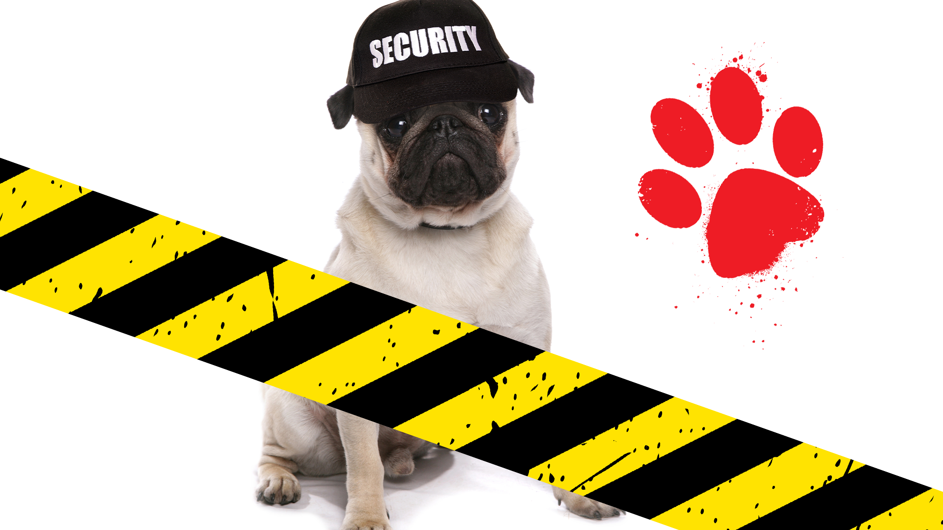 Dog with a security hat, caution tape and paw print on white background 