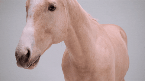 A horse pulling a face