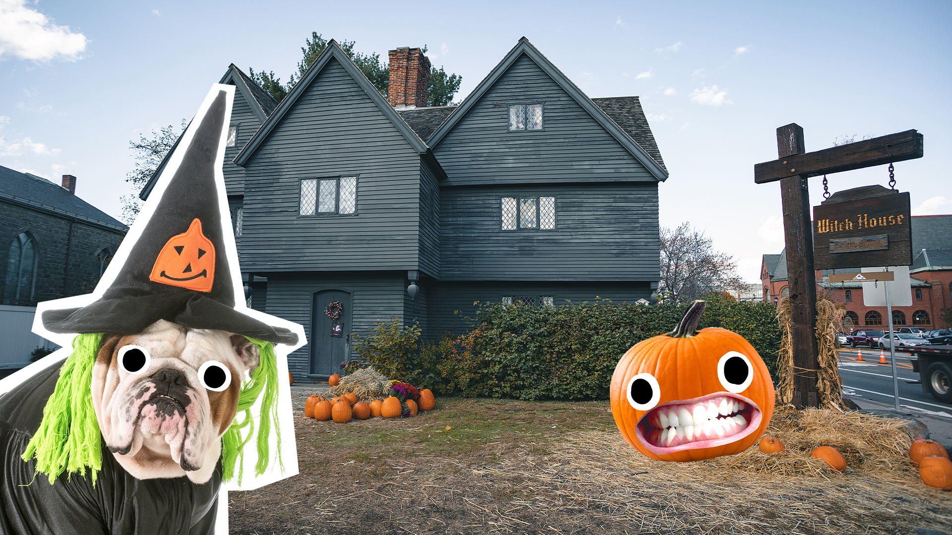 Salem witch house with Beano witch dog and pumpkin