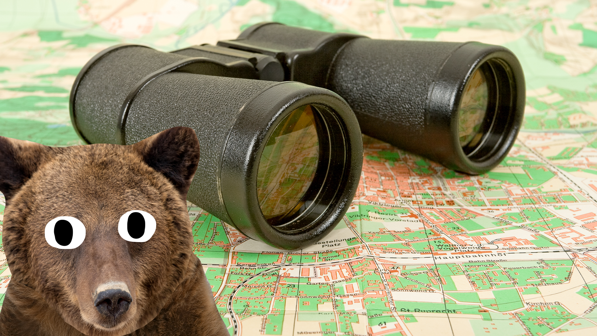Beano bear, binoculars and map 