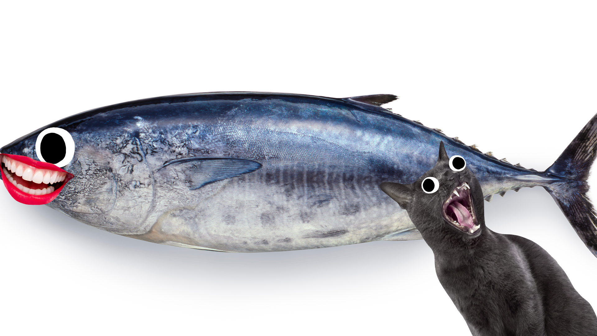 Fish with derpy face and screaming cat on white background