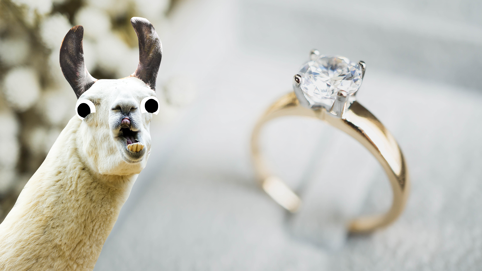 Diamond ring with derpy llama 