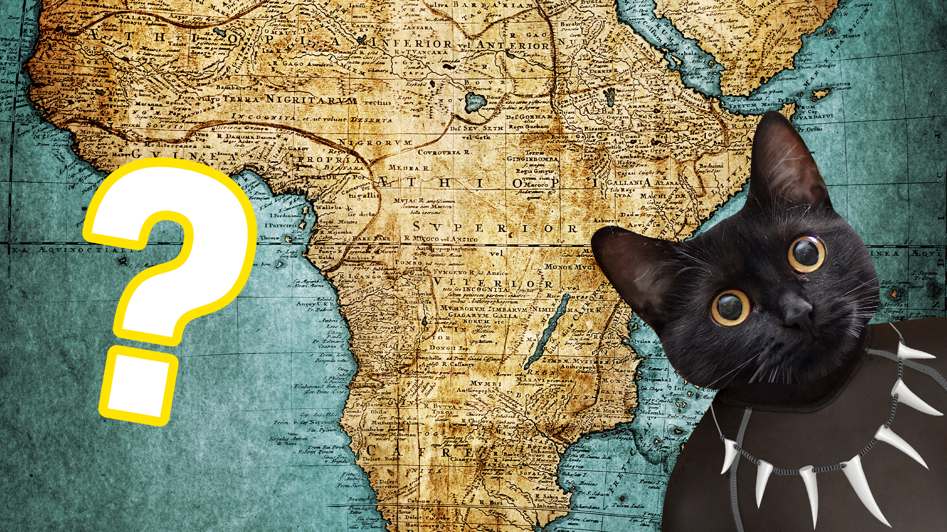 Map of Africa with question mark and Beano Black Panther