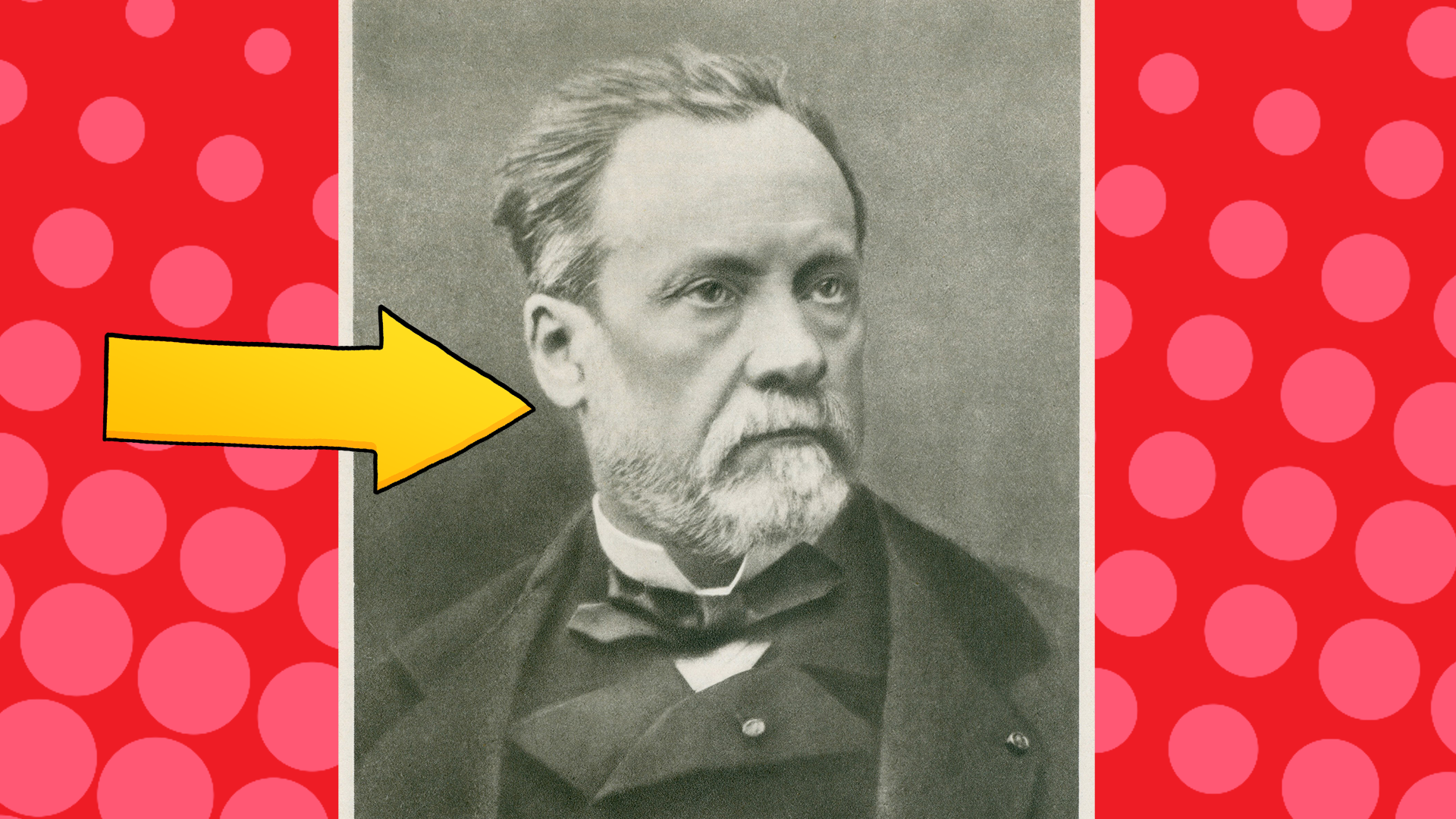 Photo of Louis Pasteur on red spotty background with yellow arrow 