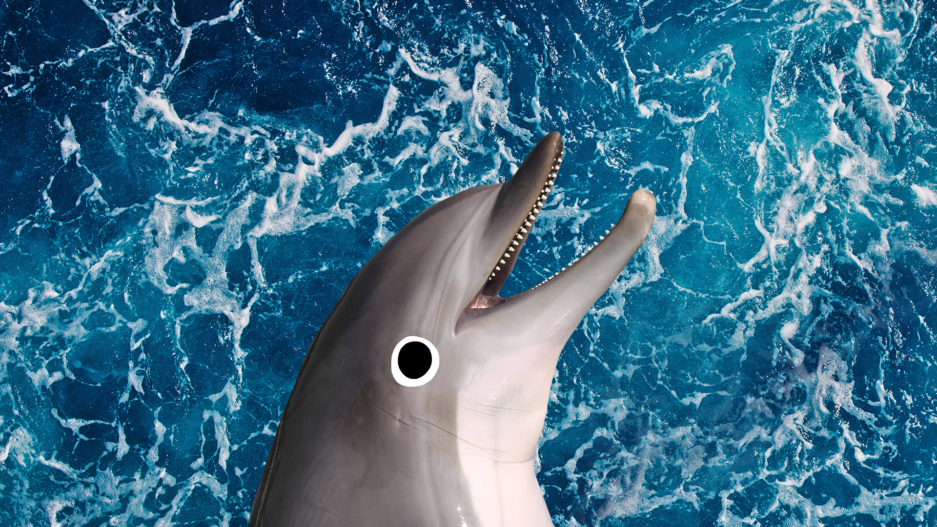 Sea background with smiling Beano dolphin