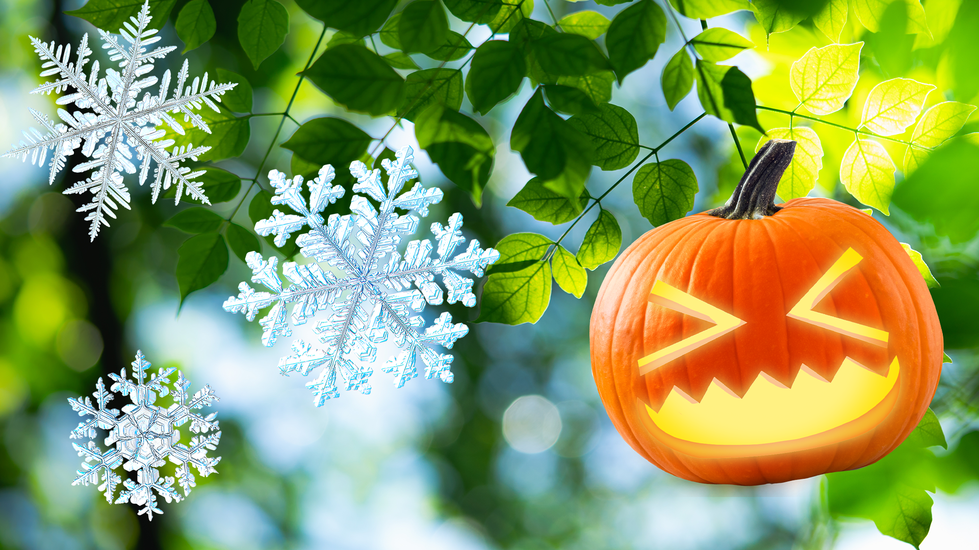 Leaves, snowflakes and pumpkin
