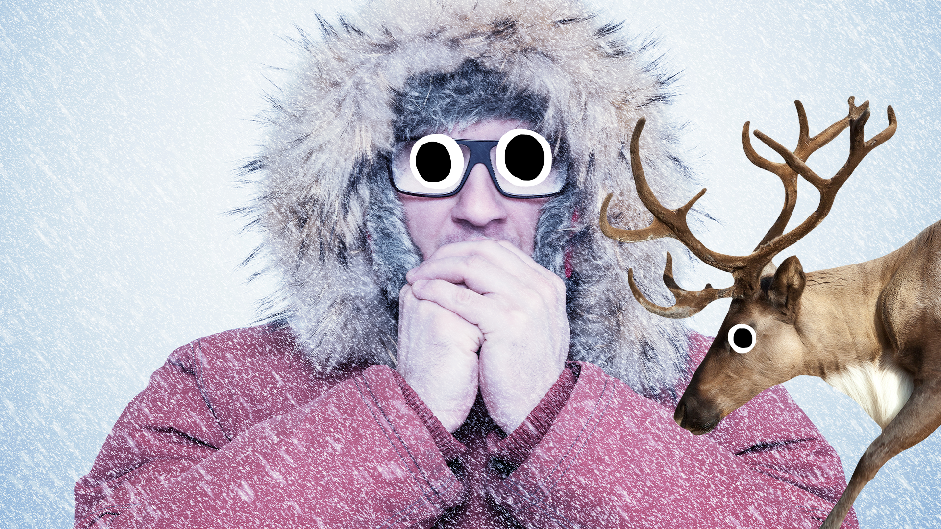 Man looking cold in coat with derpy reindeer