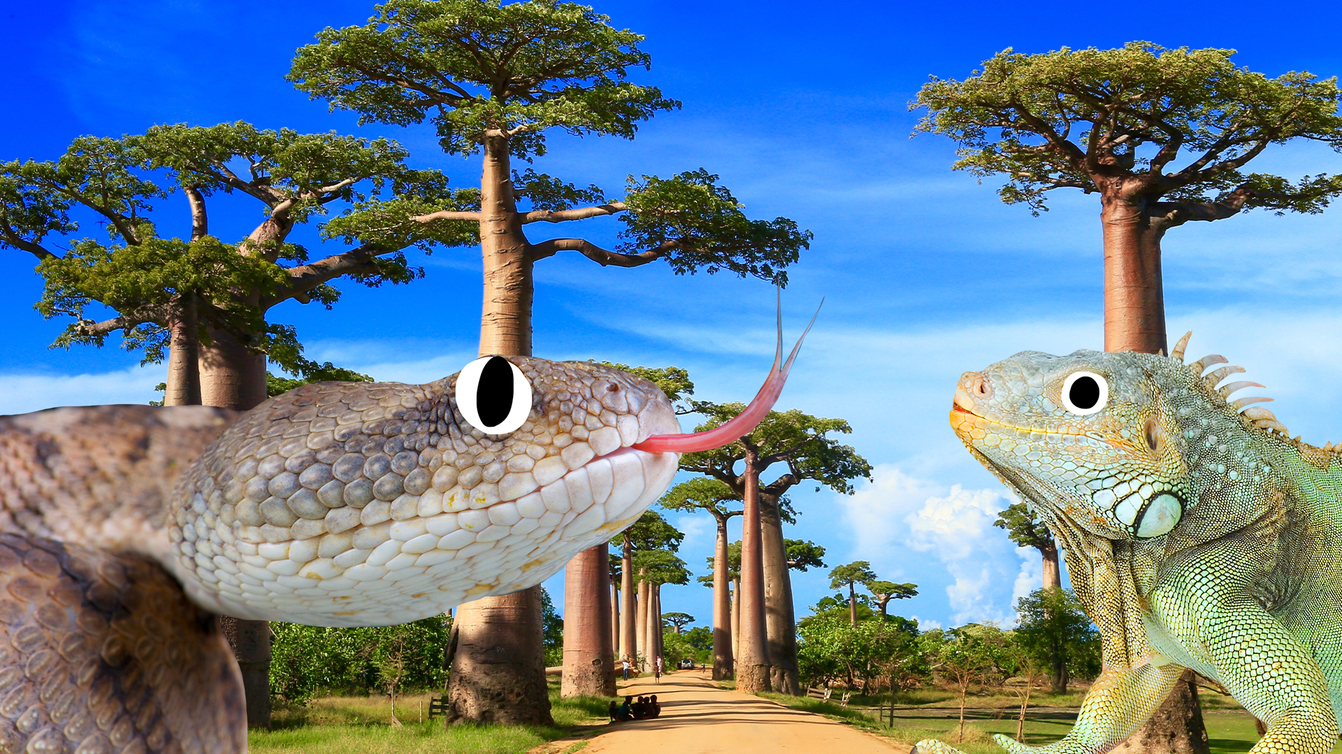 Madagascar scene with Beano snake and iguana 