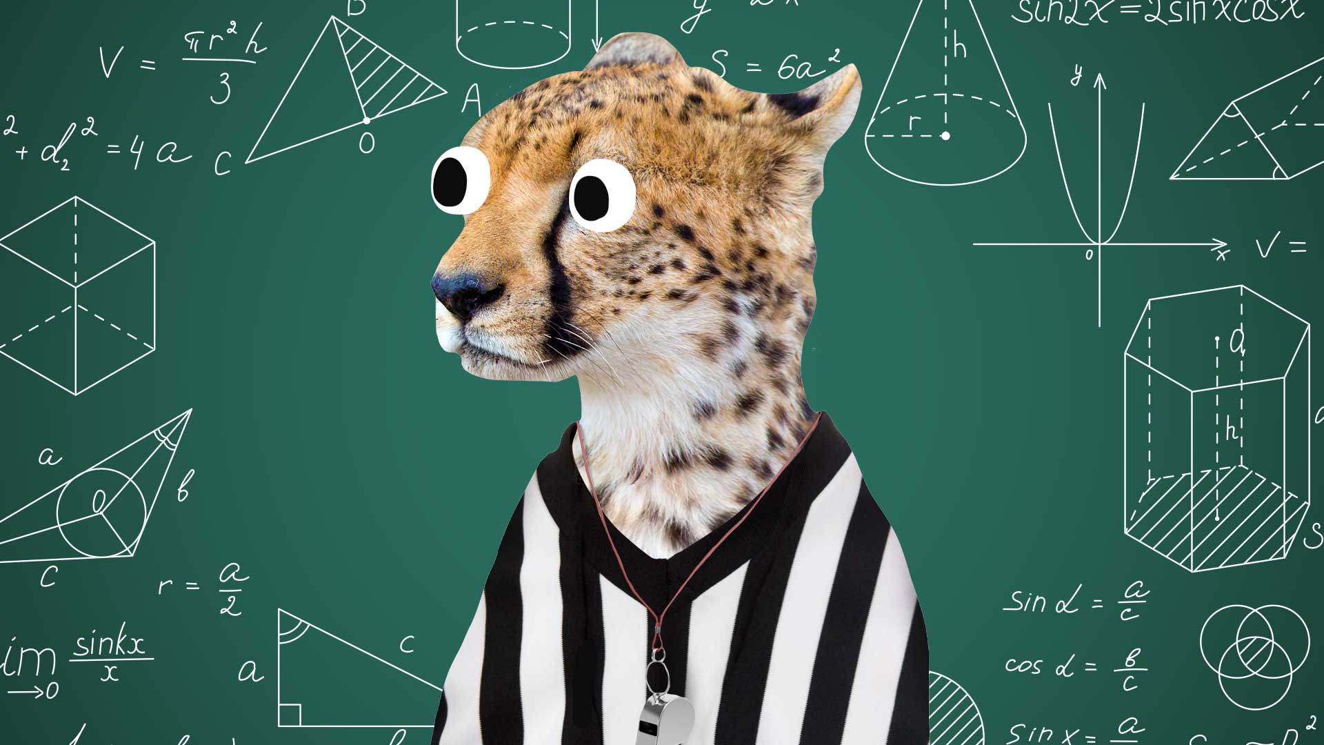 A maths cheetah