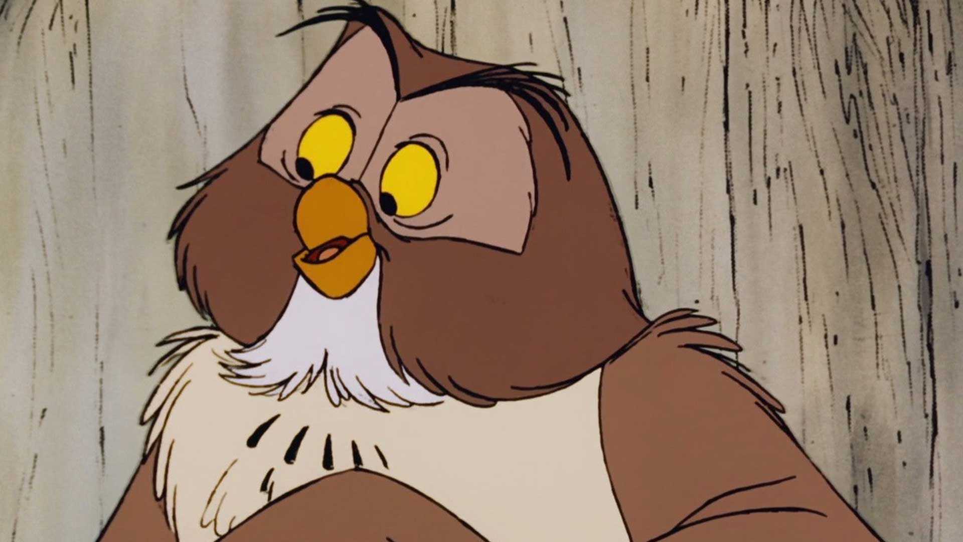 An owl appears in the Winnie the Pooh books and films
