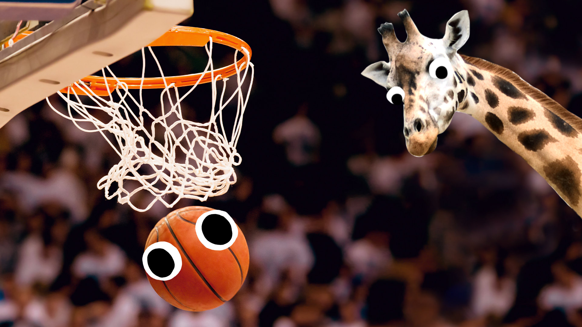 Basketball with eyes in hoop and derpy giraffe