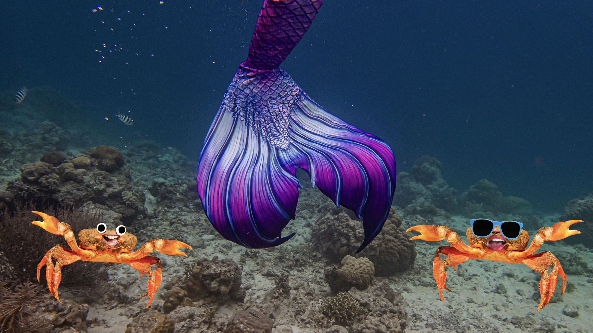 A brightly coloured mermaid tail