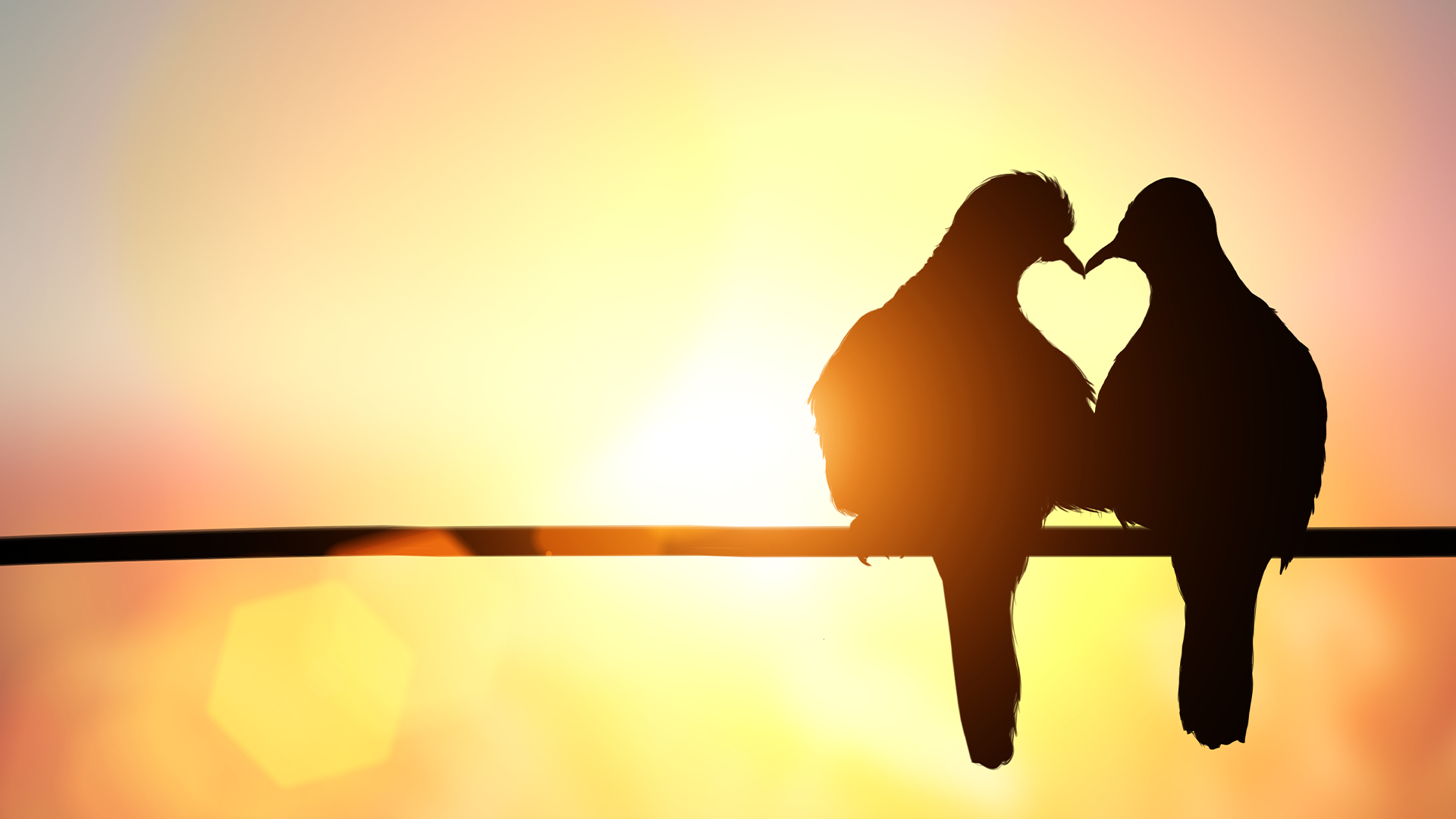 Two birds on a branch kissing at sunset