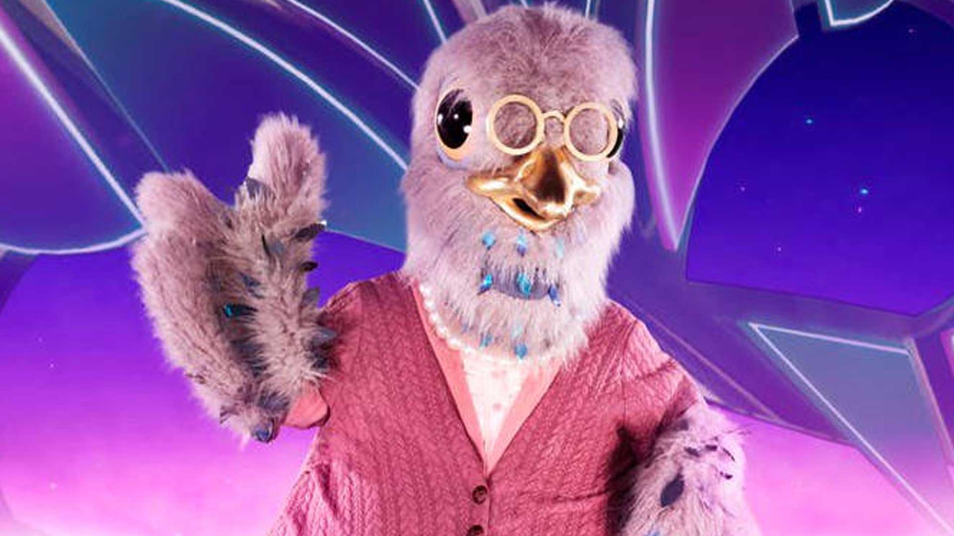 A bird on the Masked Singer