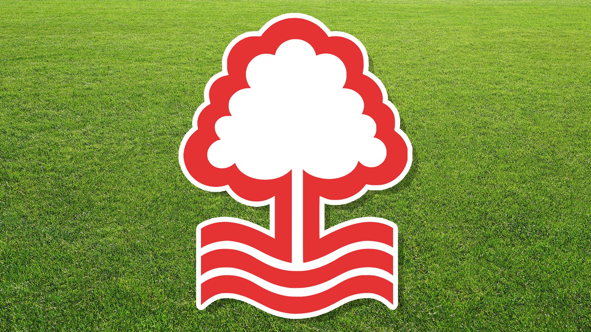 A football badge featuring a tree