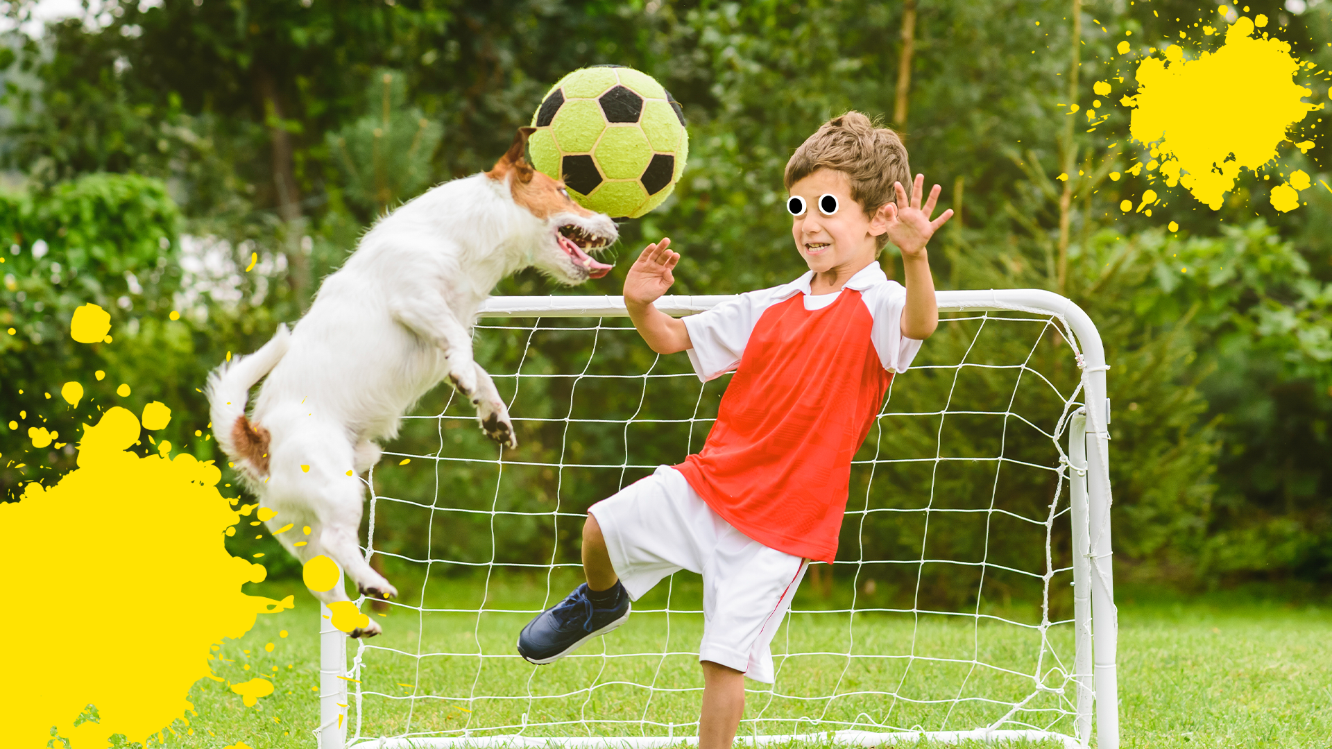 Boy and dog playing with football and yellow splat