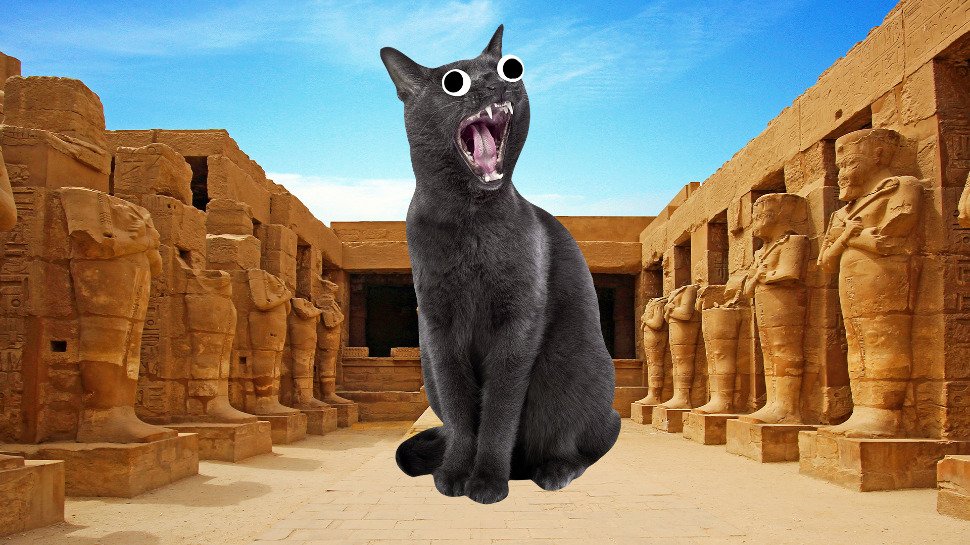 Screaming cat and ancient Egyptian ruins