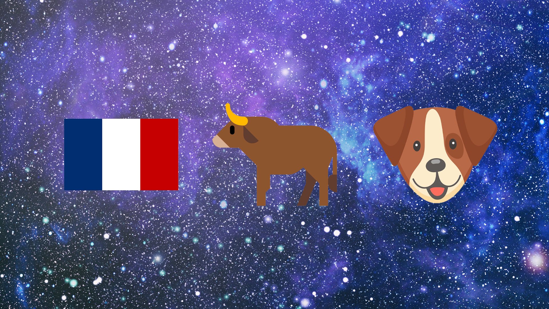 French flag, bull, dog