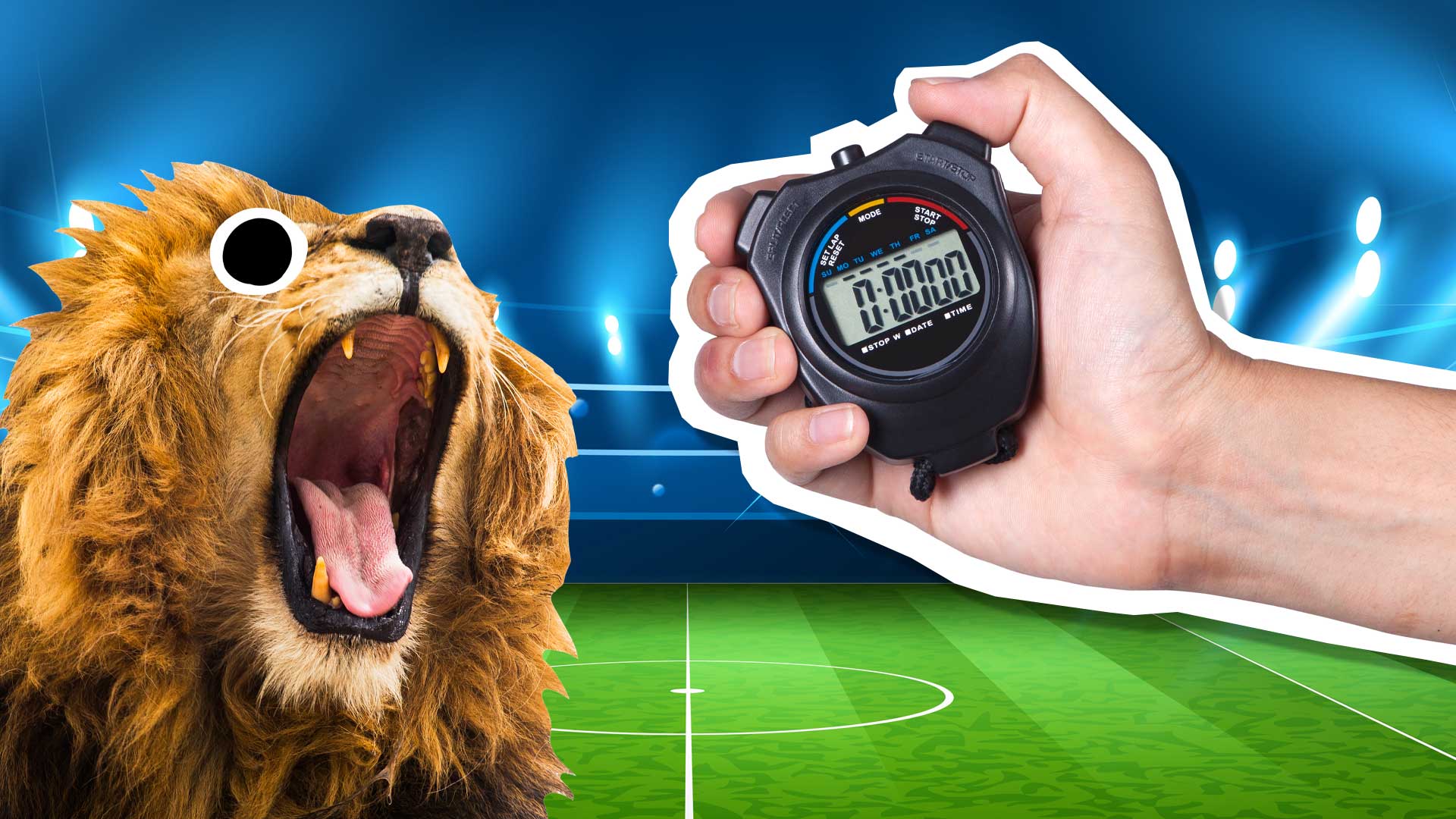 A lion and a stopwatch