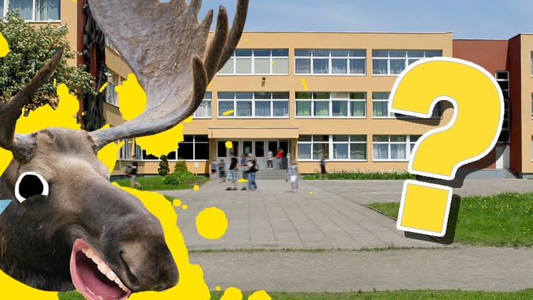 A moose outside of a big school