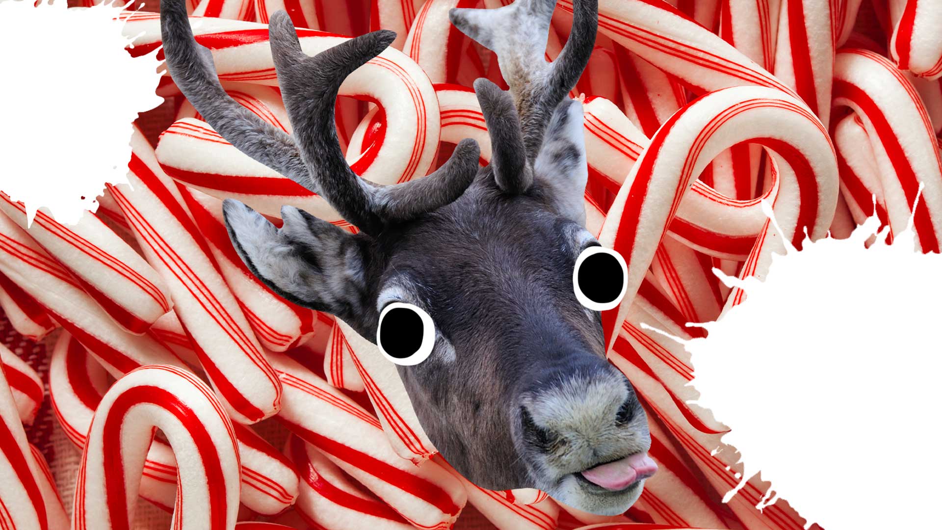Reindeer and candy canes