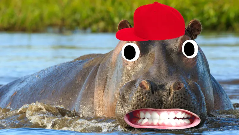 A hippo in a red cap