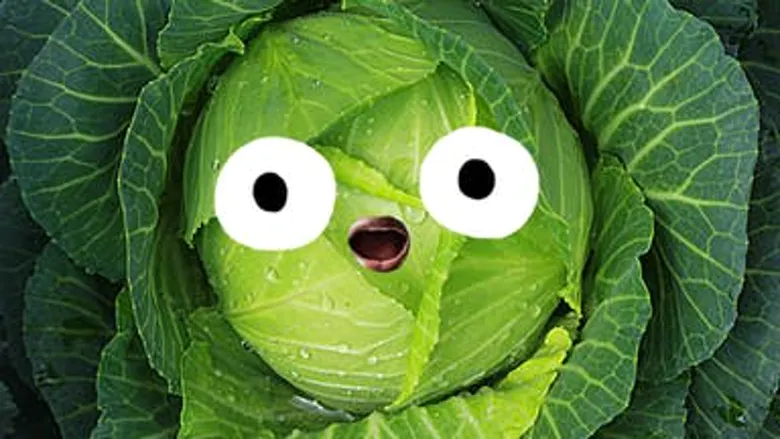 Crunchy cabbage