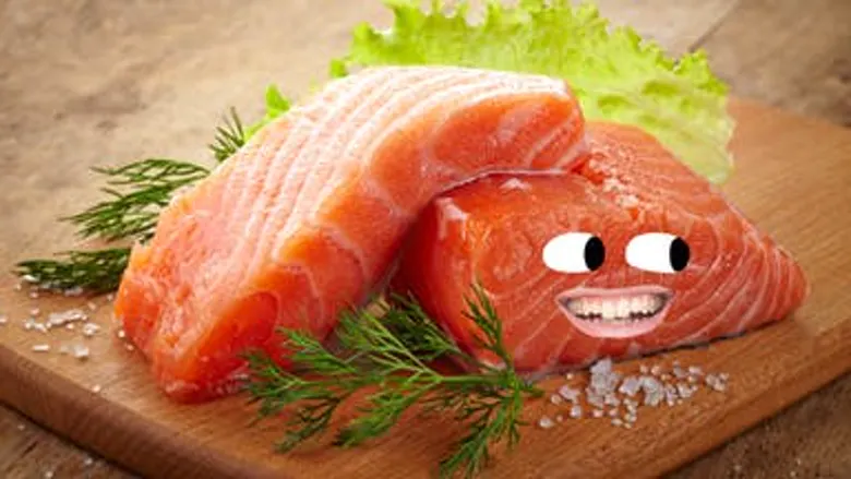 A piece of salmon