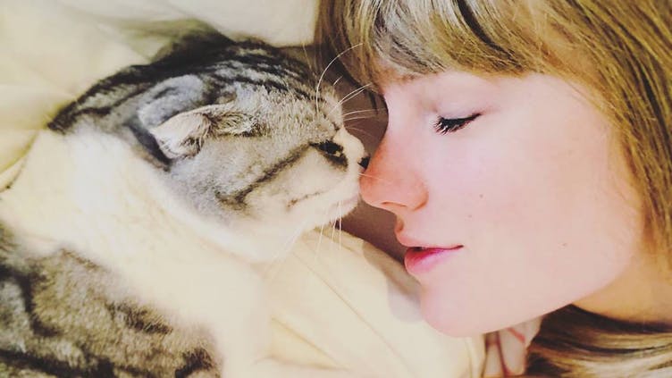 Taylor Swift and her pet cat